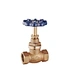 Brass Globe Valve (Dark - Blue Handwheel, Stem with Metal Ring)